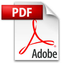 Adobe Reader - İsiso